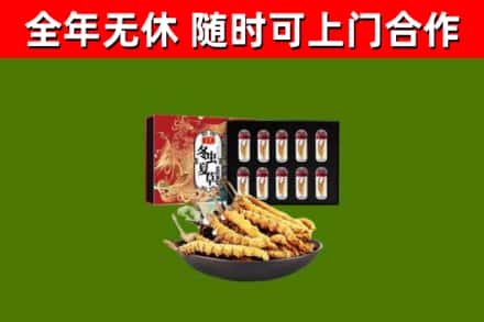 南雄市回收冬虫夏草价格